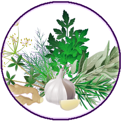 Discover the Benefits of 79 Different Herbs